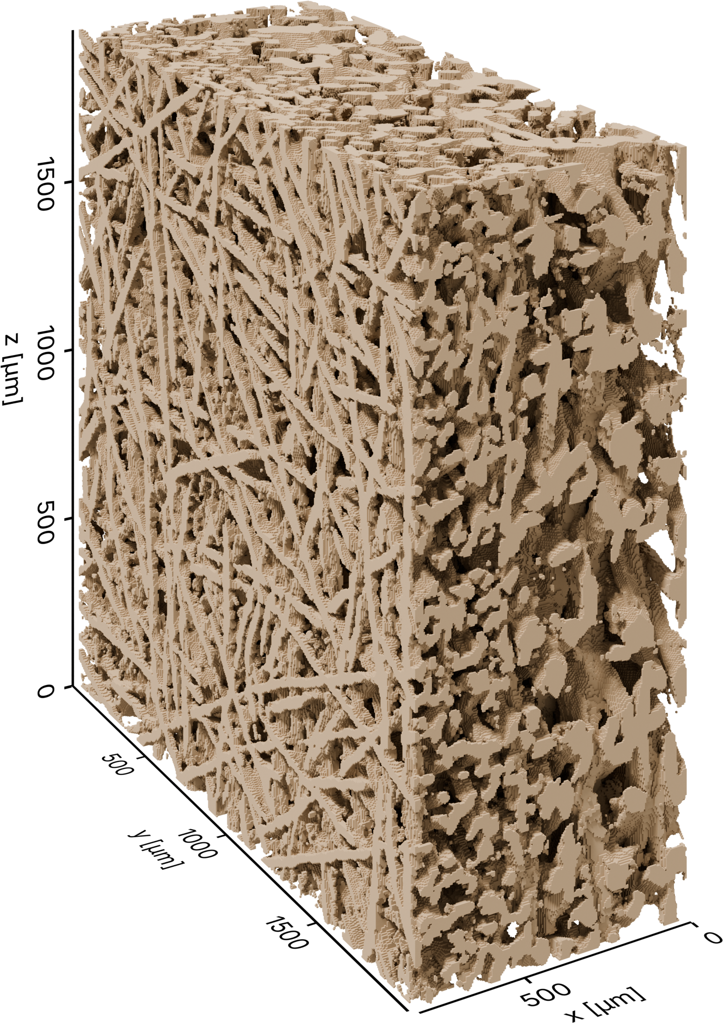 Pore coordination numbers