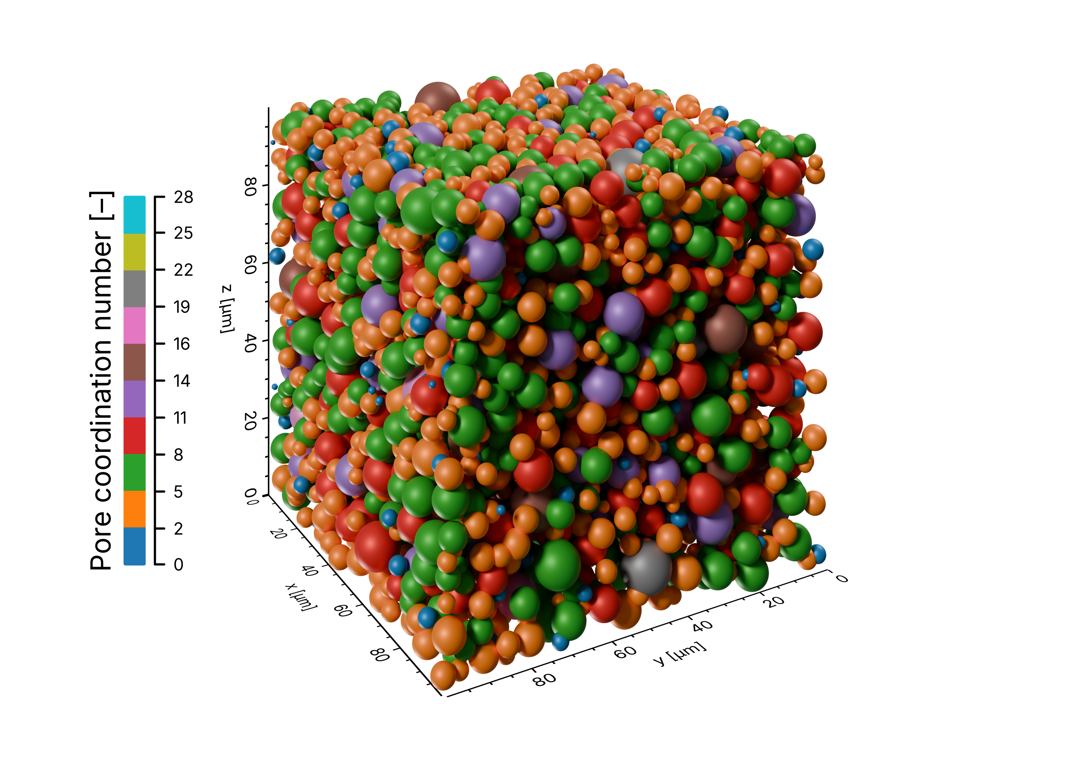 Pore coordination numbers